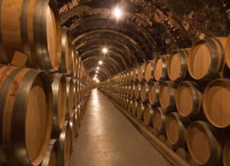Wino francuskie czy włoskie – co wybrać?